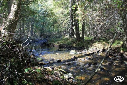 Property in Door County, Wisconsin