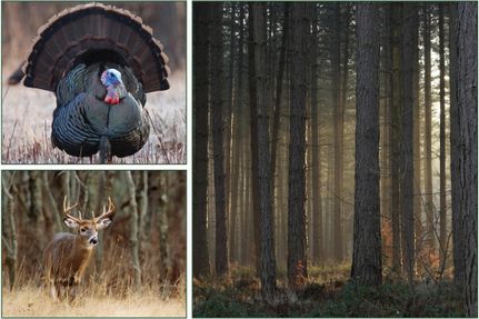 Property in Cleveland County, Arkansas