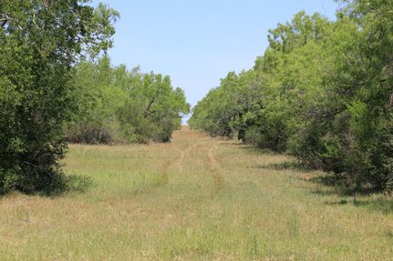 Property in Frio County, Texas