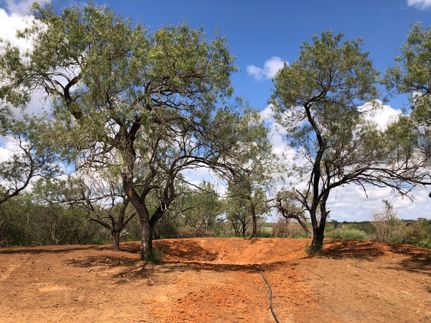 Property in Atascosa County, Texas