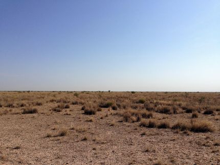 Property in Reeves County, Texas