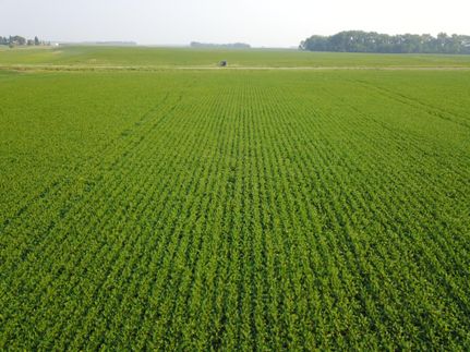 Property in Grand Forks County, North Dakota