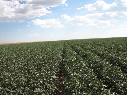 Property in Castro County, Texas