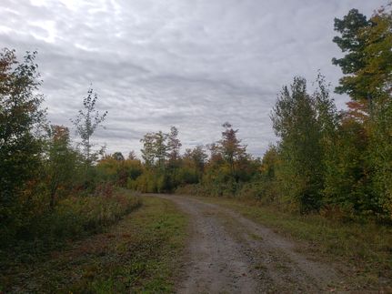 Property in Penobscot County, Maine