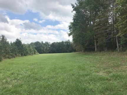 Property in Marion County, Alabama