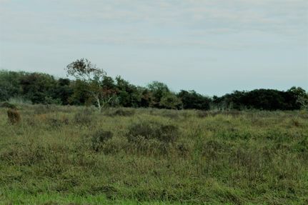 Property in Calhoun County, Texas