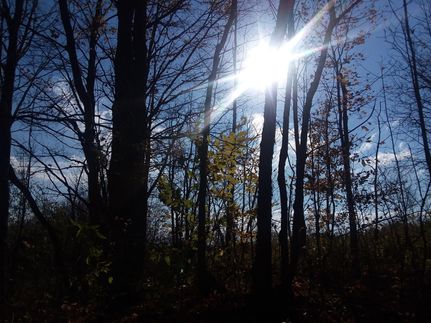 Property in Oneida County, New York