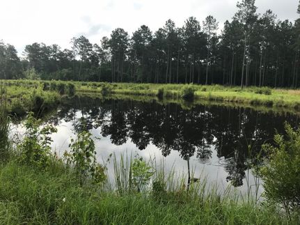 Property in Georgetown County, South Carolina