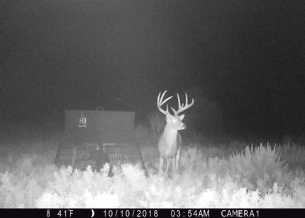 Property in Wilbarger County, Texas