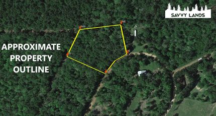 Property in San Jacinto County, Texas