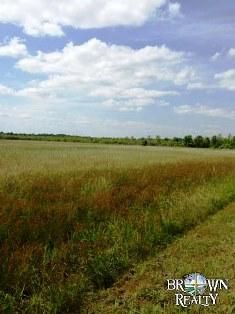 Property in Morehouse Parish, Louisiana