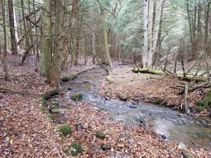 Property in Allegany County, New York