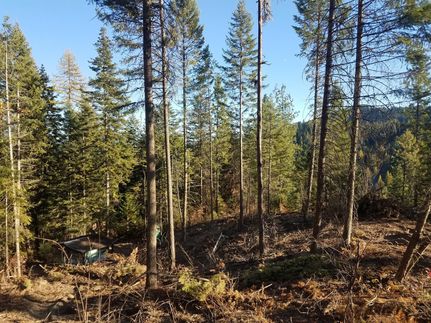 Property in Stevens County, Washington