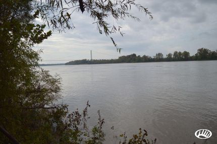 Property in Pointe Coupee Parish, Louisiana