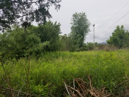 Property in Lee County, Virginia