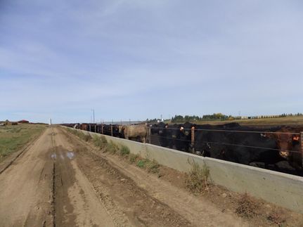 Property for sale in Adams County, North Dakota