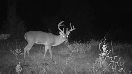 Property in Madison County, Texas