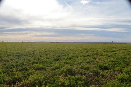 Property in Bent County, Colorado