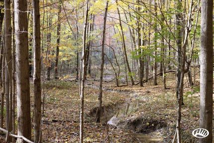 Property in Geauga County, Ohio