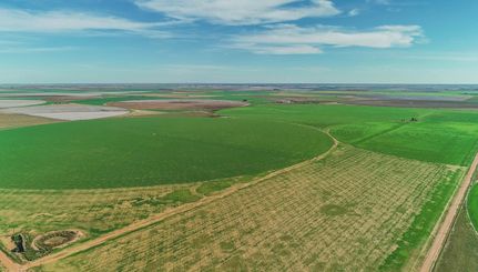 Property in Lamb County, Texas