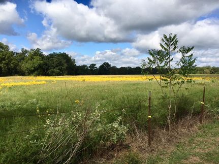 Property in Bowie County, Texas