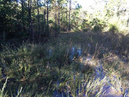 Property in Yell County, Arkansas