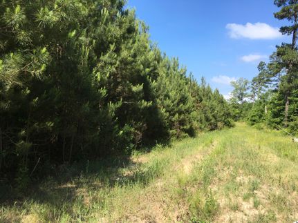 Property in Dallas County, Arkansas