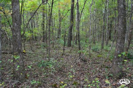 Property in Hopkins County, Kentucky