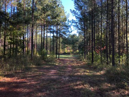 Property in Macon County, Alabama