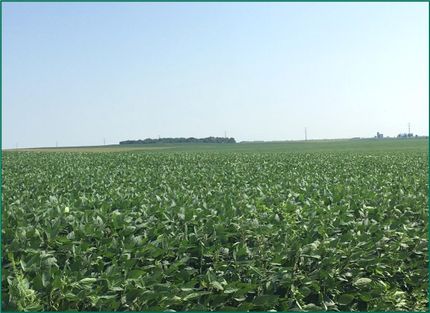 Property in Pocahontas County, Iowa