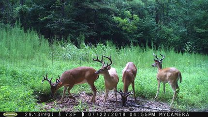 Property in Cherokee County, South Carolina