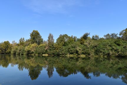 Property in Walker County, Alabama