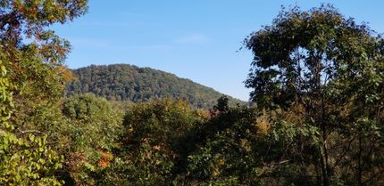 Property in Caldwell County, North Carolina