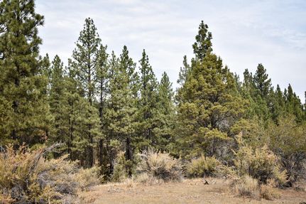 Property in Klamath County, Oregon