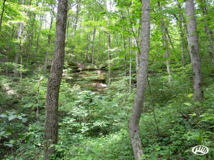 Property in Rockcastle County, Kentucky