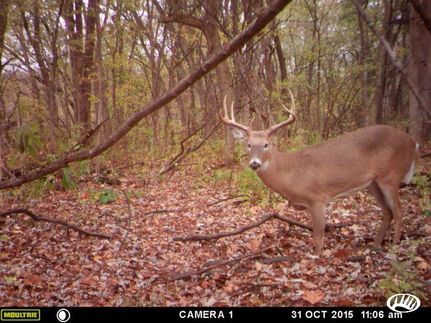 Property in Iroquois County, Illinois