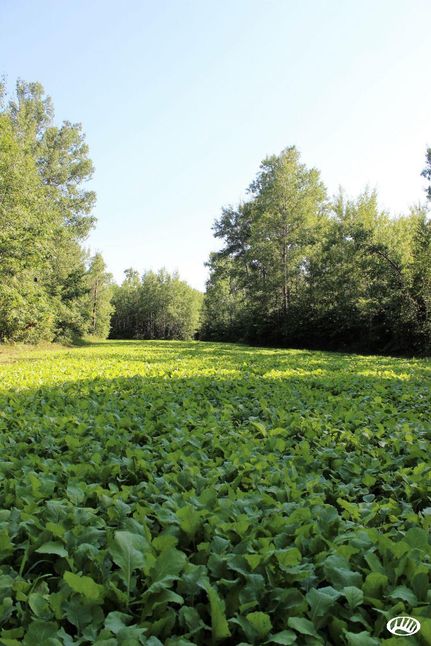 Property in Pine County, Minnesota