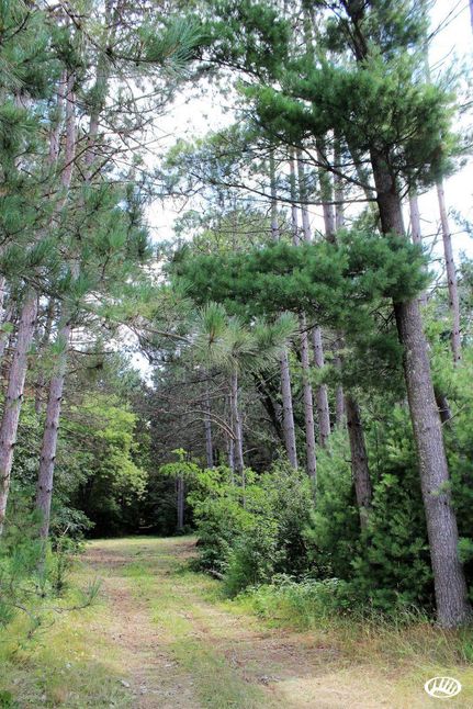 Property in Isanti County, Minnesota