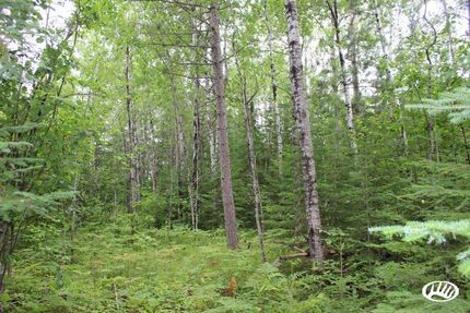 Property in Saint Louis County, Minnesota