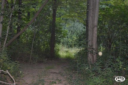 Property in Lorain County, Ohio