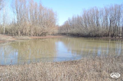 Property in Tensas Parish, Louisiana