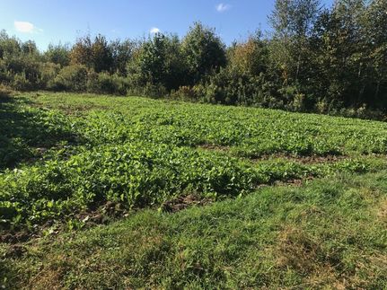 Property in Clark County, Wisconsin