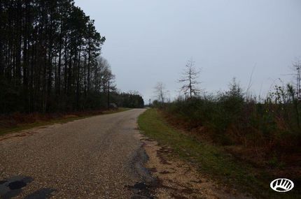 Property in Saint Helena Parish, Louisiana