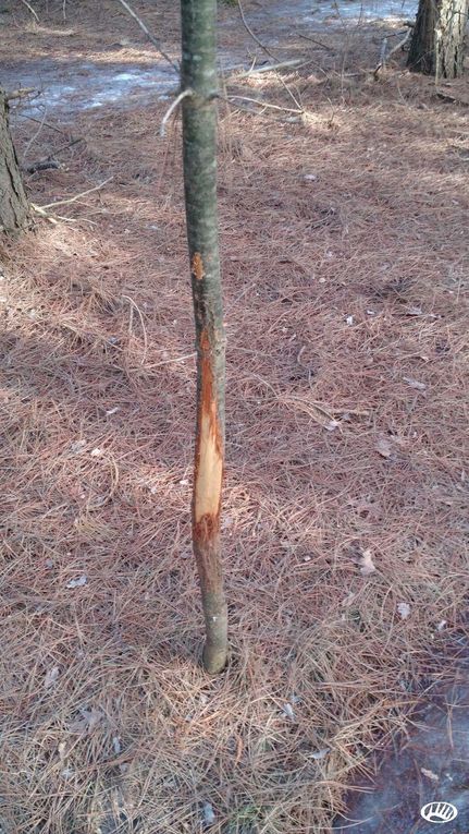 Property in Adams County, Wisconsin