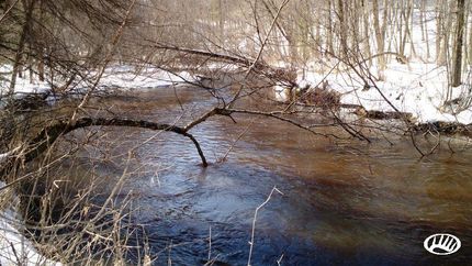 Property in Wood County, Wisconsin