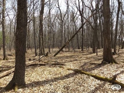 Property in Juneau County, Wisconsin