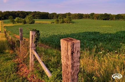 Property in Williamson County, Illinois