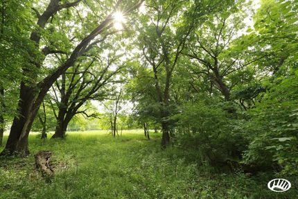 Property in Sac County, Iowa