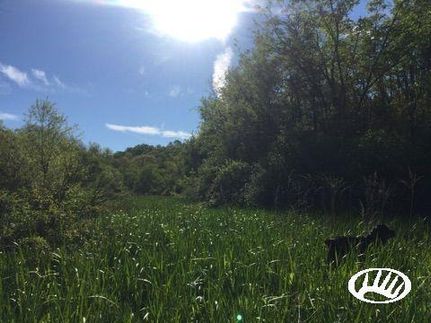 Property in Harrison County, Ohio