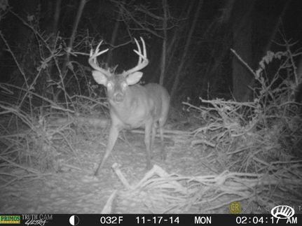 Property in Fulton County, Kentucky